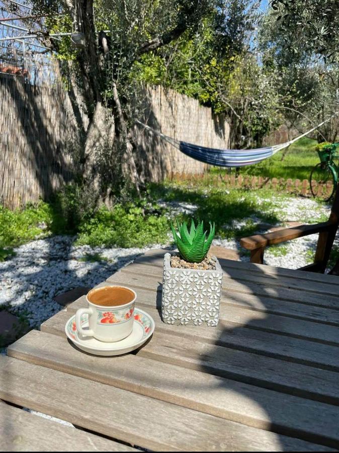 Sol'S Place Mytilene Exterior foto